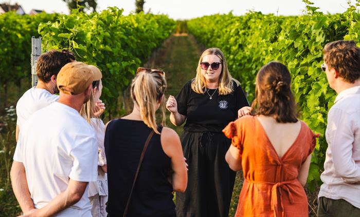 A group of tourists on a vineyard tour